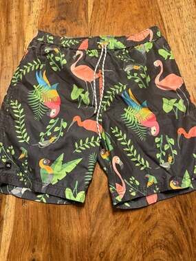 Micros Men's Tropical Bird and Flamingo Print Swim Trunks Size Large